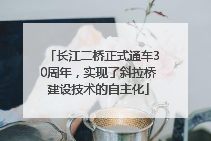 长江二桥正式通车30周年，实现了斜拉桥建设技术的自主化