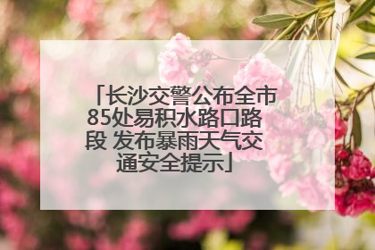 长沙交警公布全市85处易积水路口路段 发布暴雨天气交通安全提示