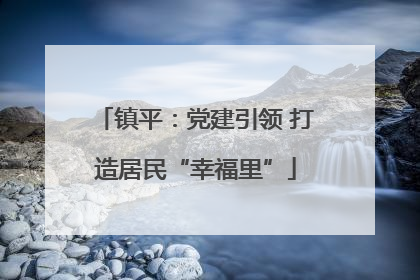 镇平：党建引领 打造居民“幸福里”