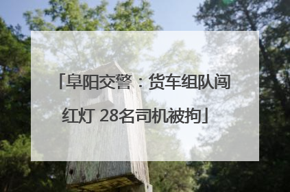 阜阳交警：货车组队闯红灯 28名司机被拘