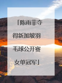 陈雨菲夺得新加坡羽毛球公开赛女单冠军