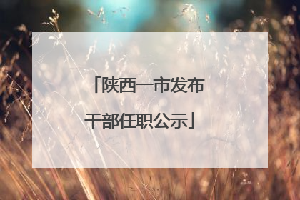 陕西一市发布干部任职公示
