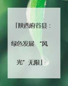 陕西府谷县：绿色发展 “风光”无限