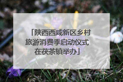 陕西西咸新区乡村旅游消费季启动仪式在茯茶镇举办