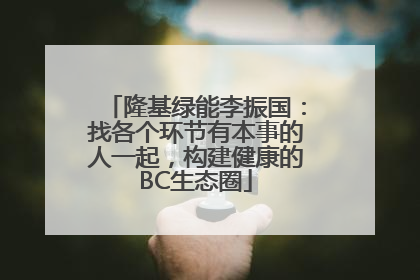 隆基绿能李振国：找各个环节有本事的人一起，构建健康的BC生态圈