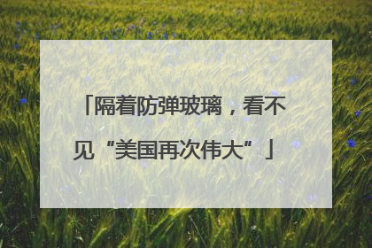 隔着防弹玻璃，看不见“美国再次伟大”