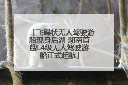 飞碟状无人驾驶游船现身后湖 湖南首艘L4级无人驾驶游船正式起航