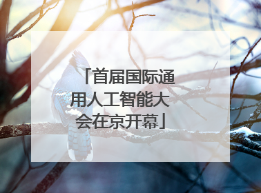 首届国际通用人工智能大会在京开幕