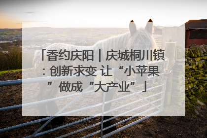 香约庆阳｜庆城桐川镇：创新求变 让“小苹果”做成“大产业”