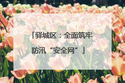 驿城区：全面筑牢防汛“安全网”