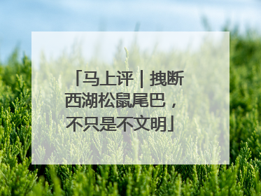 马上评｜拽断西湖松鼠尾巴，不只是不文明