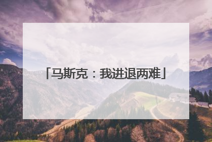 马斯克：我进退两难