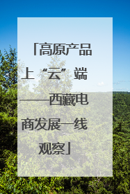 高原产品上“云”端——西藏电商发展一线观察
