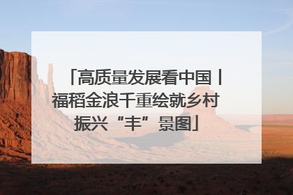 高质量发展看中国丨福稻金浪千重绘就乡村振兴“丰”景图