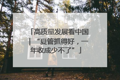 高质量发展看中国｜“夏管抓得好，一年收成少不了”