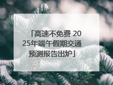 高速不免费 2025年端午假期交通预测报告出炉