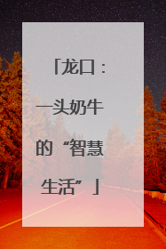 龙口：一头奶牛的“智慧生活”