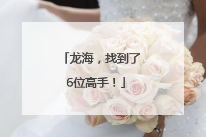 龙海，找到了6位高手！