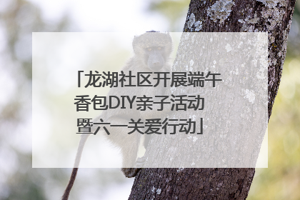 龙湖社区开展端午香包DIY亲子活动暨六一关爱行动