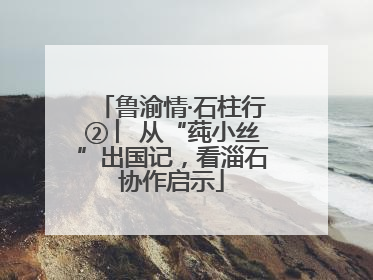 鲁渝情·石柱行② ︳从“莼小丝”出国记，看淄石协作启示