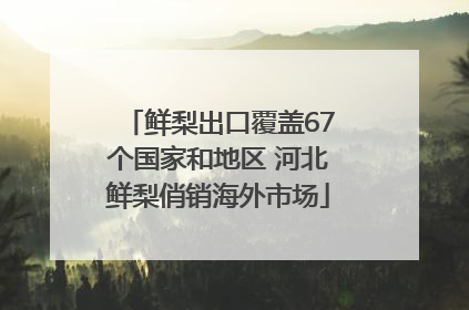 鲜梨出口覆盖67个国家和地区 河北鲜梨俏销海外市场