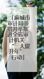 麻城市审计局多措并举推进全省审计机关 “三大提升年” 行动