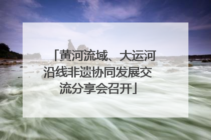 黄河流域、大运河沿线非遗协同发展交流分享会召开