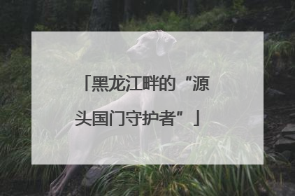 黑龙江畔的“源头国门守护者”