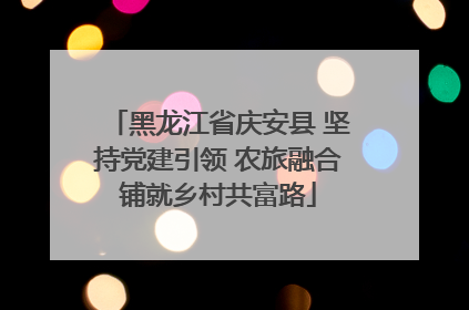 黑龙江省庆安县 坚持党建引领 农旅融合铺就乡村共富路