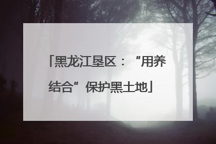 黑龙江垦区：“用养结合”保护黑土地