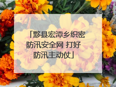 黟县宏潭乡织密防汛安全网 打好防汛主动仗