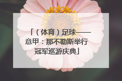 （体育）足球——意甲：那不勒斯举行冠军巡游庆典