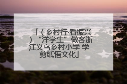 （乡村行·看振兴）“洋学生”做客浙江义乌乡村小学 学剪纸悟文化