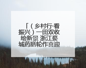 （乡村行·看振兴）一田双收绘新景 浙江婺城药膳轮作喜迎丰收季
