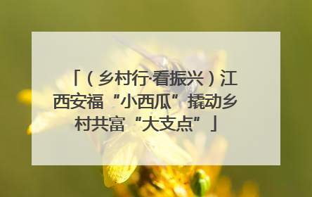 （乡村行·看振兴）江西安福“小西瓜”撬动乡村共富“大支点”