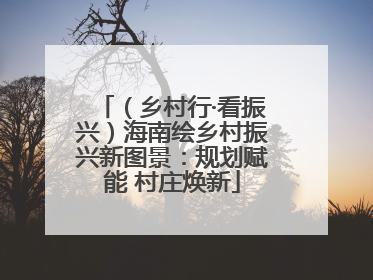 （乡村行·看振兴）海南绘乡村振兴新图景：规划赋能 村庄焕新