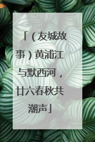 （友城故事）黄浦江与默西河，廿六春秋共潮声