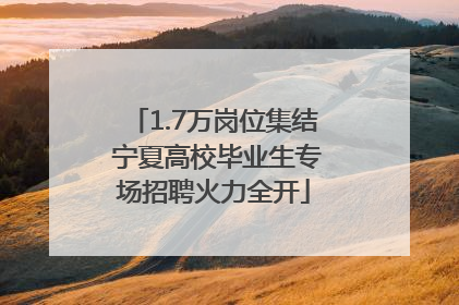 1.7万岗位集结 宁夏高校毕业生专场招聘火力全开