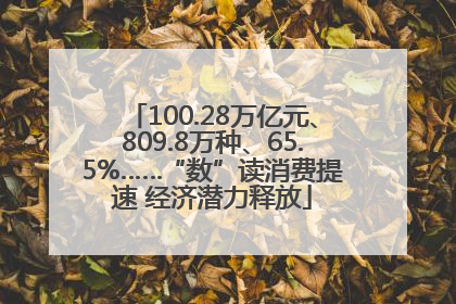 100.28万亿元、809.8万种、65.5%……“数”读消费提速 经济潜力释放