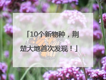 10个新物种，荆楚大地首次发现！