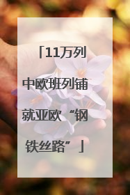11万列中欧班列铺就亚欧“钢铁丝路”