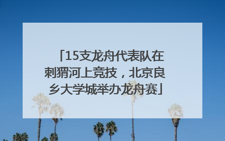 15支龙舟代表队在刺猬河上竞技，北京良乡大学城举办龙舟赛