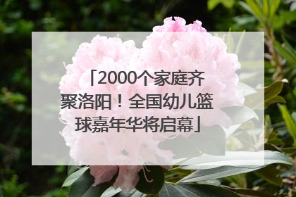 2000个家庭齐聚洛阳！全国幼儿篮球嘉年华将启幕