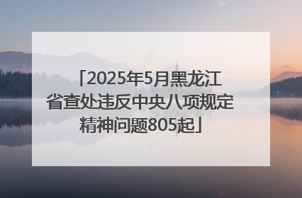 2025年5月黑龙江省查处违反中央八项规定精神问题805起