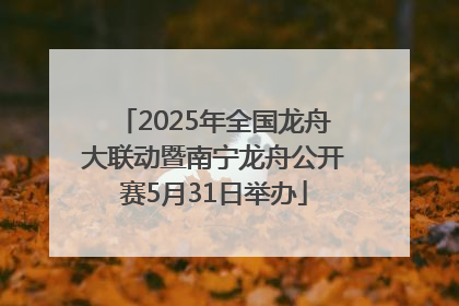2025年全国龙舟大联动暨南宁龙舟公开赛5月31日举办