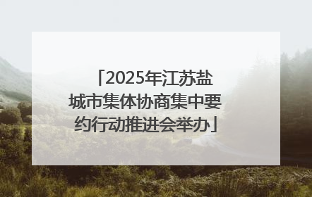 2025年江苏盐城市集体协商集中要约行动推进会举办