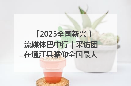 2025全国新兴主流媒体巴中行｜采访团在通江县瞻仰全国最大红军烈士陵园