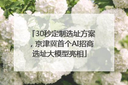 30秒定制选址方案，京津冀首个AI招商选址大模型亮相