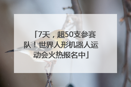 7天，超50支参赛队！世界人形机器人运动会火热报名中