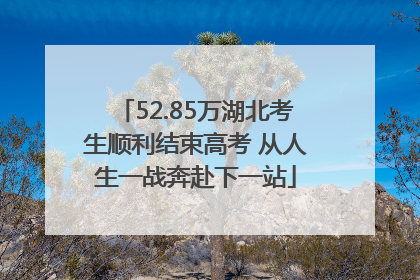 52.85万湖北考生顺利结束高考 从人生一战奔赴下一站